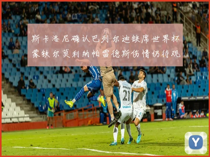 斯卡洛尼确认巴列尔迪缺席世界杯蒙铁尔莫利纳帕雷德斯伤情仍待观察